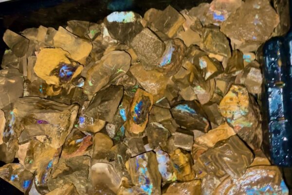 Boulder Opal Rough (1KG - 10KG)